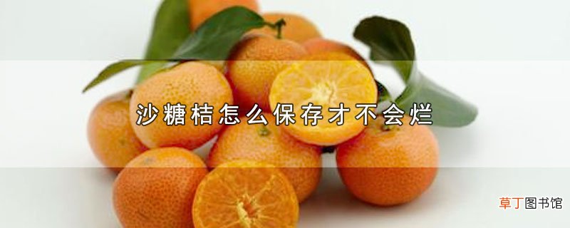 沙糖桔怎么保存才不会烂