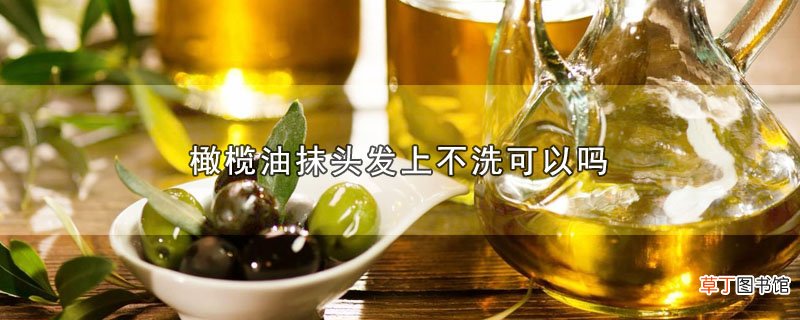 橄榄油抹头发上不洗可以吗
