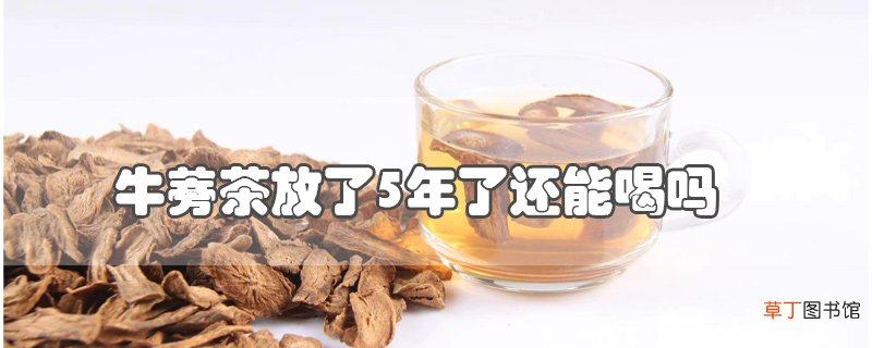 牛蒡茶放了5年了还能喝吗