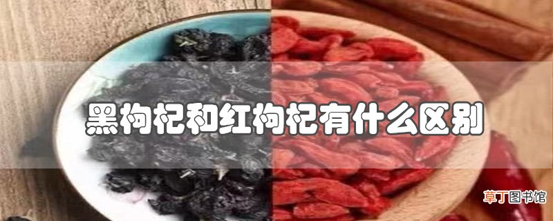 黑枸杞和红枸杞有什么区别