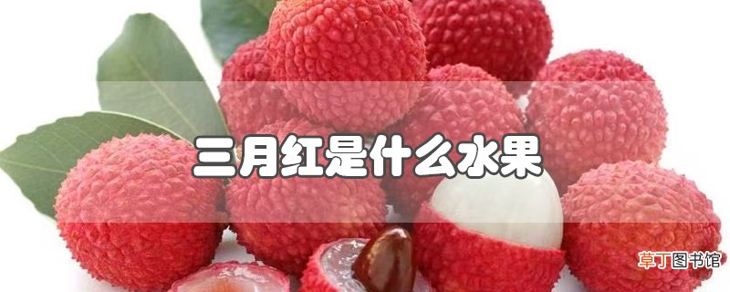 三月红是什么水果