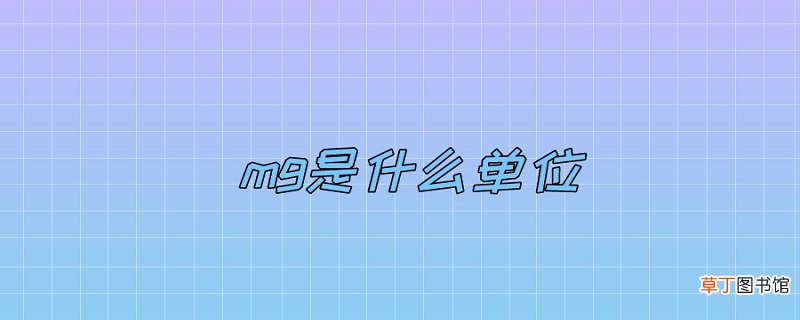 mg是什么单位