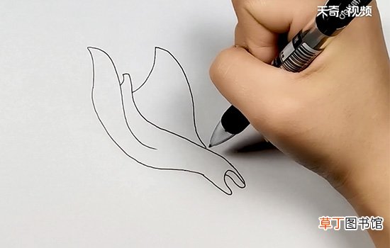 魔鬼鱼简笔画