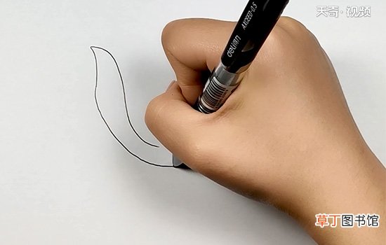 魔鬼鱼简笔画