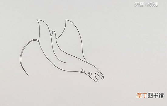 魔鬼鱼简笔画