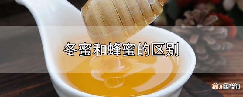 冬蜜和蜂蜜的区别