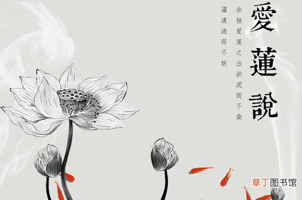 爱莲说的主旨句是哪句 爱莲说中体现主旨的句子