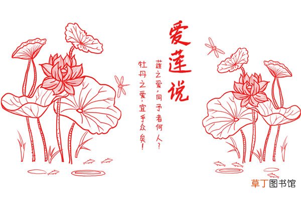 爱莲说的主旨句是哪句 爱莲说中体现主旨的句子