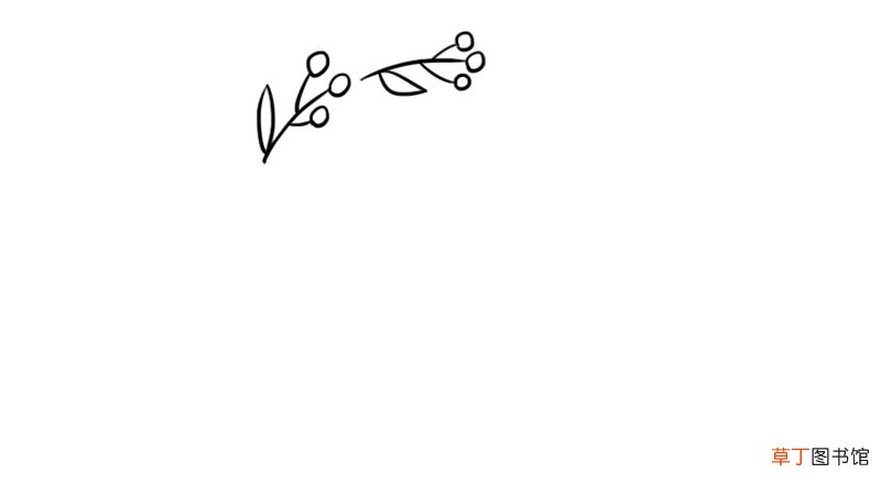 花边简笔画