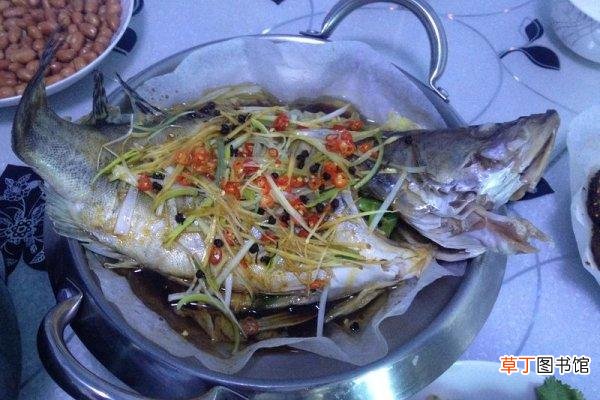 清蒸鱼的家常做法 清蒸鲑鱼最正宗的做法