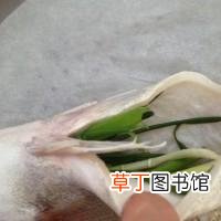 清蒸鱼的家常做法 清蒸鲑鱼最正宗的做法