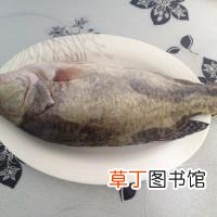 清蒸鱼的家常做法 清蒸鲑鱼最正宗的做法