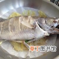 清蒸鱼的家常做法 清蒸鲑鱼最正宗的做法