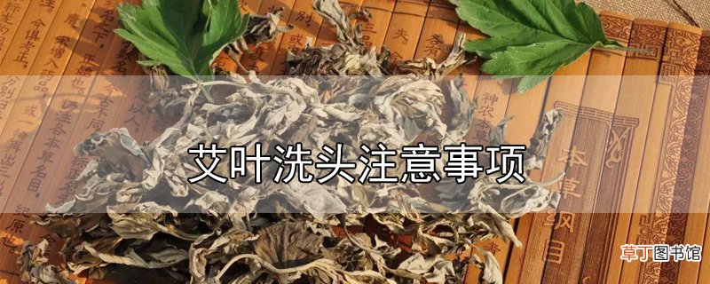 艾叶洗头注意事项
