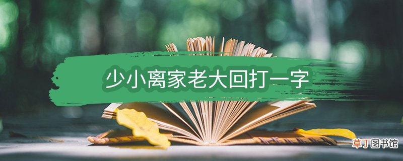 少小离家老大回打一字 少小离家老大回打一什么字