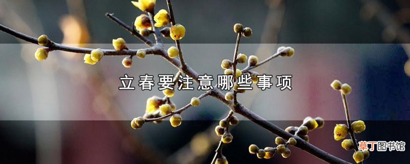 立春要注意哪些事项