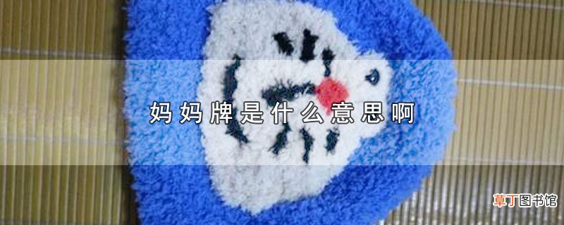 妈妈牌是什么意思啊