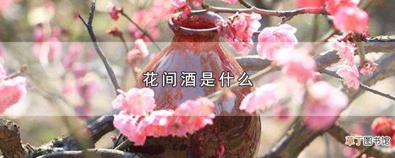 花间酒是什么