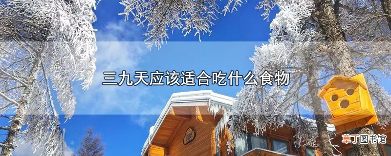 三九天适合吃什么食物