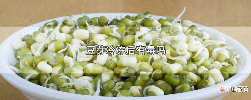豆芽冷冻后有毒吗