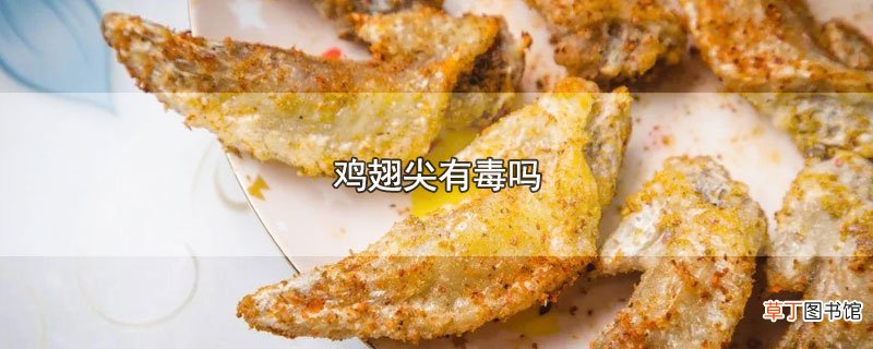 鸡翅尖有毒吗