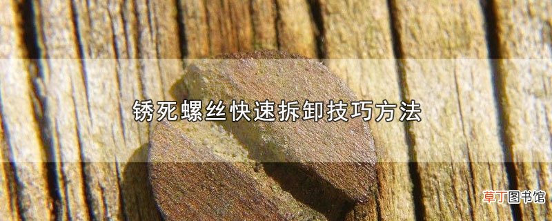 锈死螺丝快速拆卸技巧方法