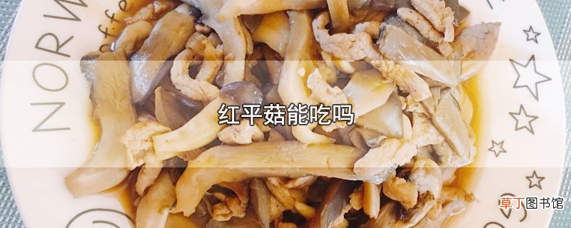 红平菇能吃吗