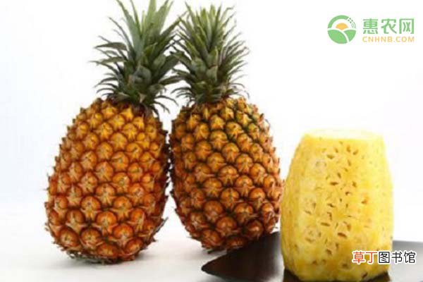 菠萝的热量高吗？如何挑选又香又甜的菠萝？