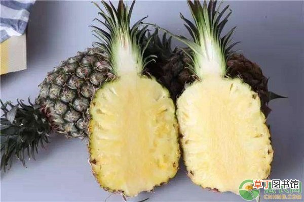 菠萝的热量高吗？如何挑选又香又甜的菠萝？
