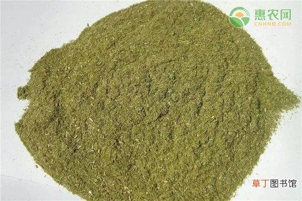 松针粉喂猪的功效与作用