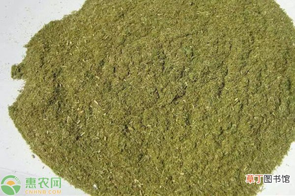 鸡吃松针粉的功效与作用