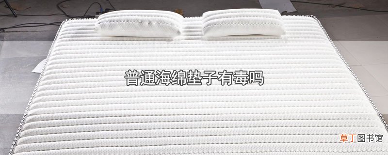 普通海绵垫子有毒吗