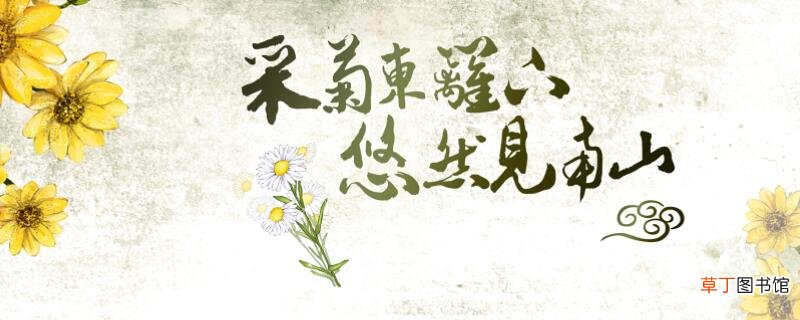 采菊东篱下是什么季节采菊东篱下什么意思