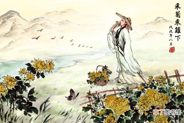 采菊东篱下是什么季节采菊东篱下什么意思