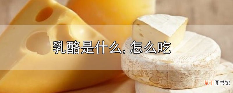 乳酪是什么,怎么吃