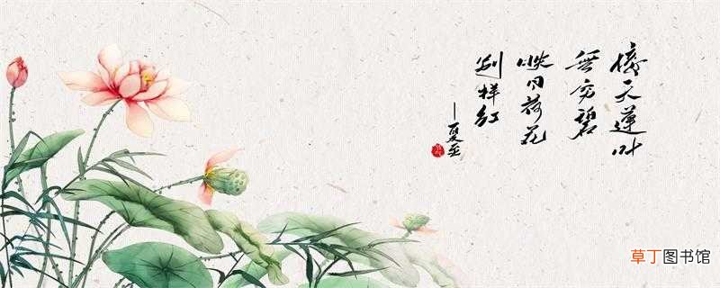 村居我的疑问是什么村居我的疑问是什么呢