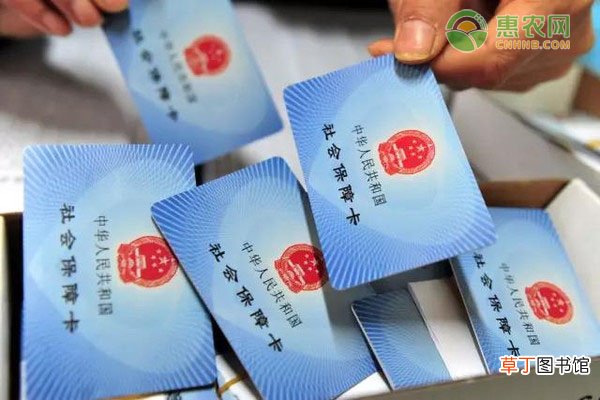 农村医保买了多久生效？