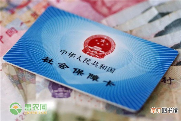 农村医保买了多久生效？
