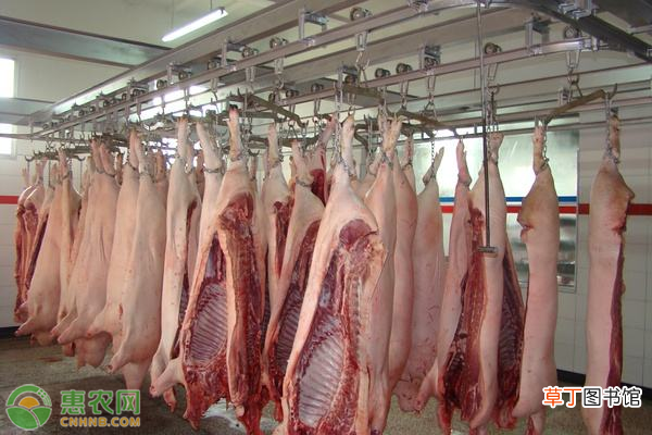 今年能吃到便宜猪肉吗？官方回应猪肉供应恢复时间