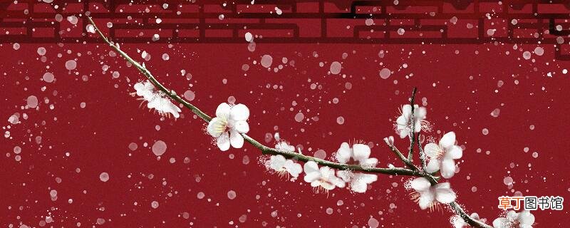 飞雪送春归飞雪迎春到下一句是什么风雨送春归，飞雪迎春到赏析