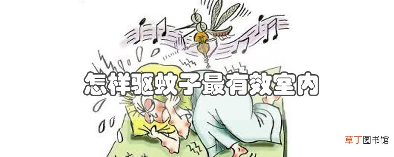 怎样驱蚊子最有效室内
