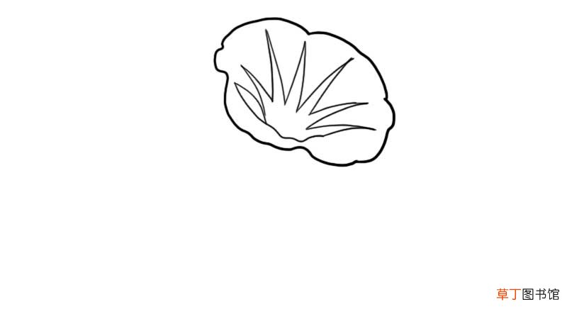 漂亮的牵牛花简笔画