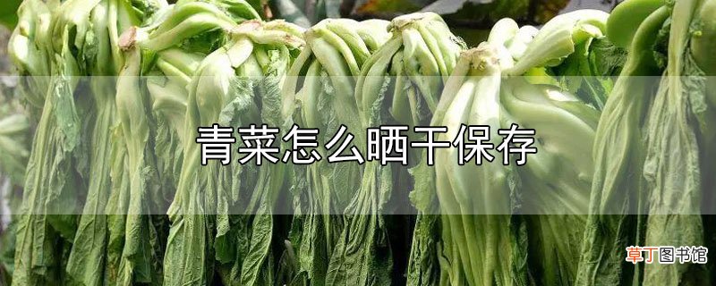 青菜怎么晒干保存