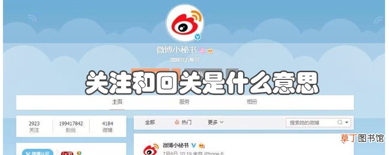 关注和回关是什么意思