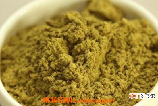 松针粉的功效与作用 吃松针粉的好处