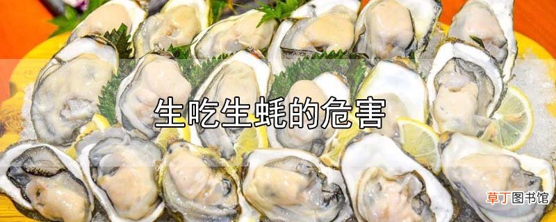 生吃生蚝的危害