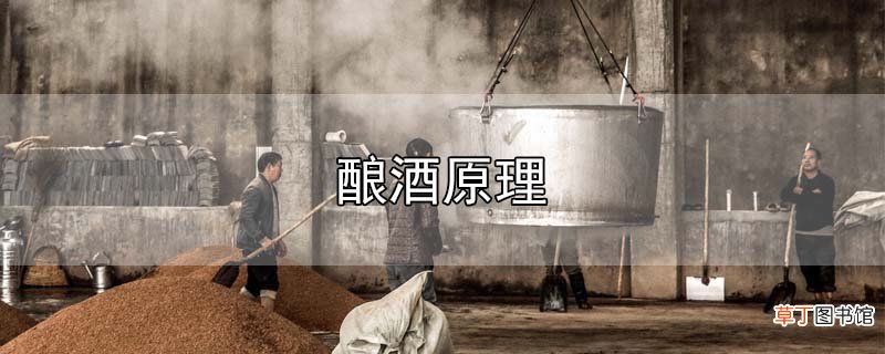 酿酒原理