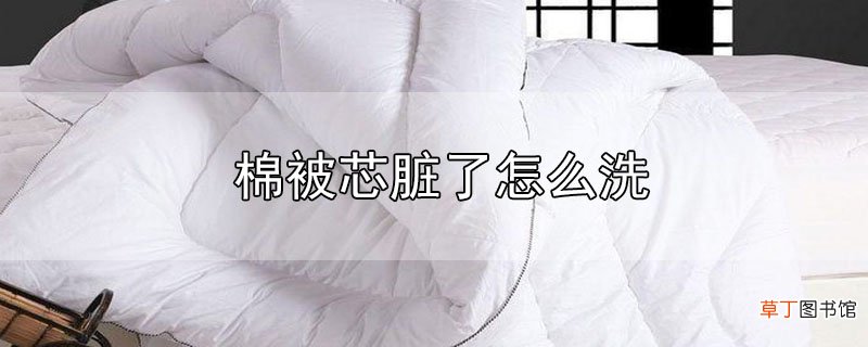 棉被芯脏了怎么洗