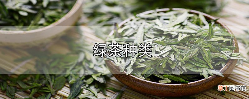 绿茶种类