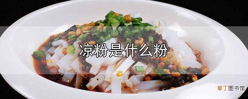 凉粉是什么粉